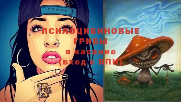 твердый Алзамай